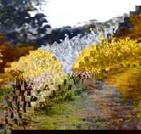 Prickly Moses Brewery - Restaurant Gold Coast