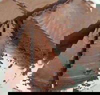 Yakiniku Gyuzo BBQ and Tapas - Restaurant Gold Coast