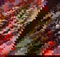 Cantina On Capri - Restaurant Gold Coast