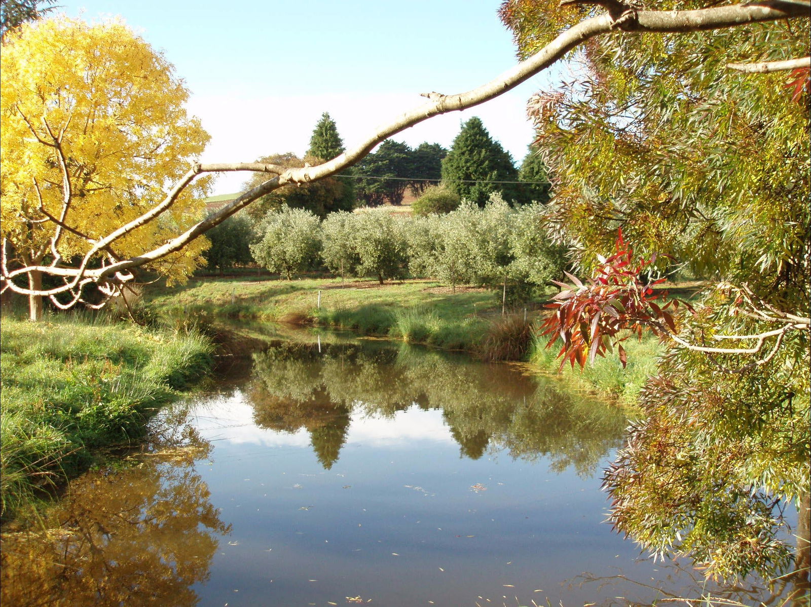 Leith TAS Restaurant Gold Coast