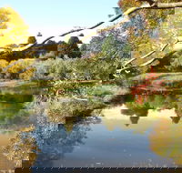 Cradle Coast Olives - Restaurant Gold Coast