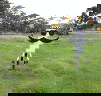 Heard it on the Grapevine - Restaurant Gold Coast