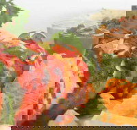 Raavi's Cumin - Restaurant Gold Coast