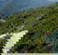 Canopy Cafe - Restaurant Gold Coast