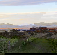 Castle Rock Estate Winery - Restaurant Gold Coast