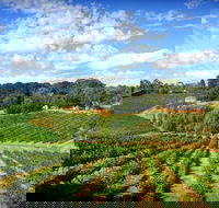 Kellybrook Winery and Kelly Brothers Cider - Restaurant Gold Coast