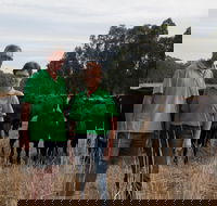 Milawa Organic Beef - Restaurant Gold Coast