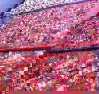 Pizza and Kebab on Bell - Restaurant Gold Coast