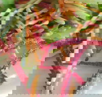 Port Kennedy Tavern - Restaurant Gold Coast