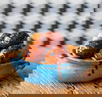 The Yiros Shop - Cannon Hill - Restaurant Gold Coast