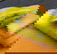 House Of Canton - Restaurant Gold Coast