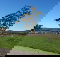 Nepenthe Wines - Restaurant Gold Coast
