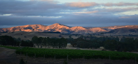 Sedona Estate - Restaurant Gold Coast 0