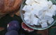 The Cheese Maker - thumb 1