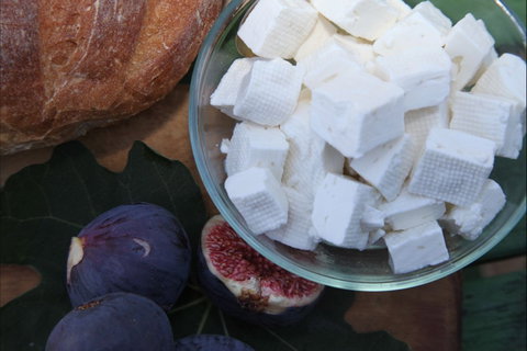 The Cheese Maker - Restaurant Gold Coast 1