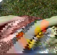 Yuri Sushi - Restaurant Gold Coast