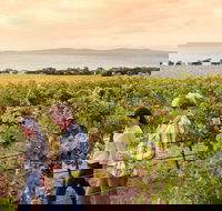 Boston Bay Wines - Restaurant Gold Coast