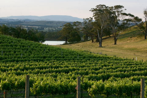 Granite Hills Winery - Restaurant Gold Coast 0