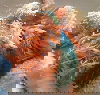 On Shore - Restaurant Gold Coast