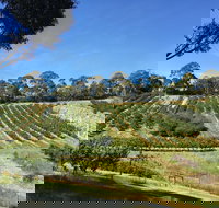 Cherrytime Orchard - Restaurant Gold Coast