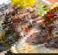 Kofte Co. - Restaurant Gold Coast