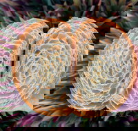 La Bouche - Restaurant Gold Coast