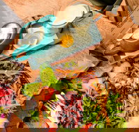 Roll'd - Brisbane CBD - Restaurant Gold Coast