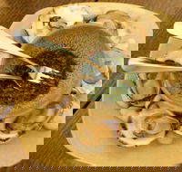 The Cottage Scone - Restaurant Gold Coast