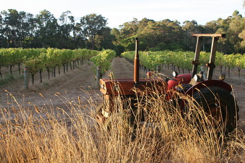 Cape Grace Wines - Restaurant Gold Coast 2