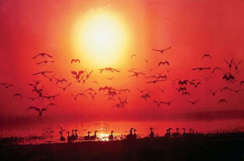 Good Thanks - Restaurant Gold Coast 0