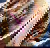 Haci's Kebabs Food Truck - Restaurant Gold Coast