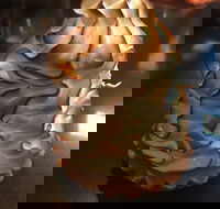 Mocha Bella - Restaurant Gold Coast