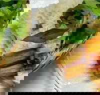 Thanh Binh - Cabramatta - Restaurant Gold Coast