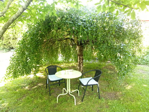 Earthwater Cafe - Restaurant Gold Coast 0