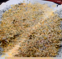 Man-O-Salwa - Clayton - Restaurant Gold Coast