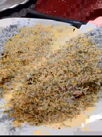 Man-O-Salwa - Clayton