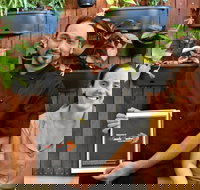 Masala Fusion - Restaurant Gold Coast