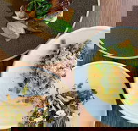 Silica Restaurant and Bar - Restaurant Gold Coast