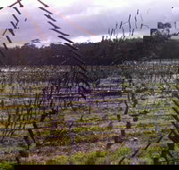 Darlington Vineyard - Restaurant Gold Coast