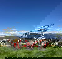 Red Feet Wines - Restaurant Gold Coast