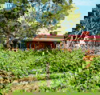 Barangaroo Boutique Wines - Restaurant Gold Coast