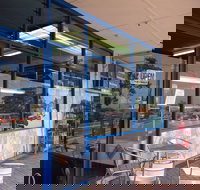 Daily Catch - Restaurant Gold Coast