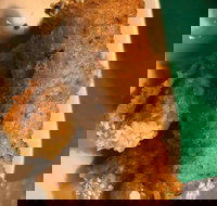 Kappaya - Restaurant Gold Coast