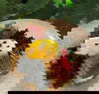 Nic and Kolo - Restaurant Gold Coast