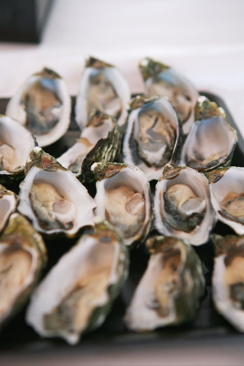 S.D. Caputo And Sons - Restaurant Gold Coast 0