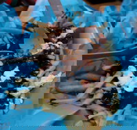 Two Hands Bar - Restaurant Gold Coast