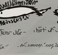 Williamstown Mussels - Restaurant Gold Coast