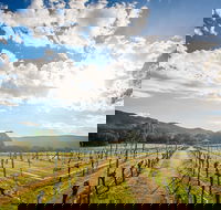 Fallen Giants Vineyard - Restaurant Gold Coast