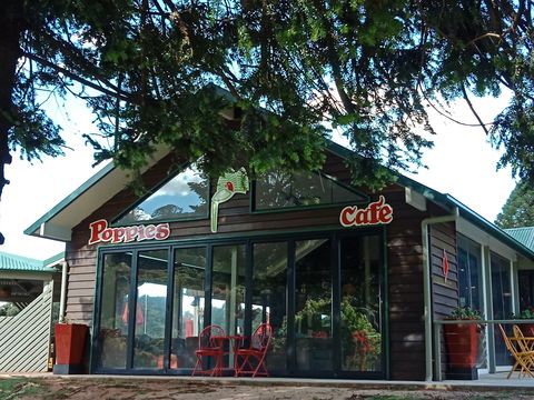 Poppies  Cafe - Restaurant Gold Coast 0