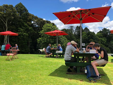 Poppies  Cafe - Restaurant Gold Coast 1